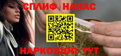 шишки Славгород