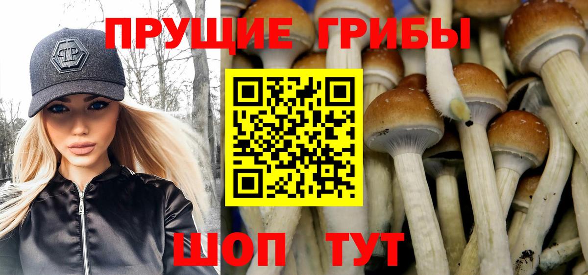 Псилоцибиновые грибы мицелий Партизанск